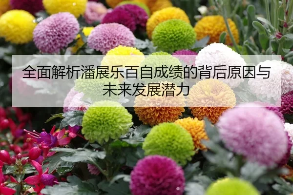 全面解析潘展乐百自成绩的背后原因与未来发展潜力